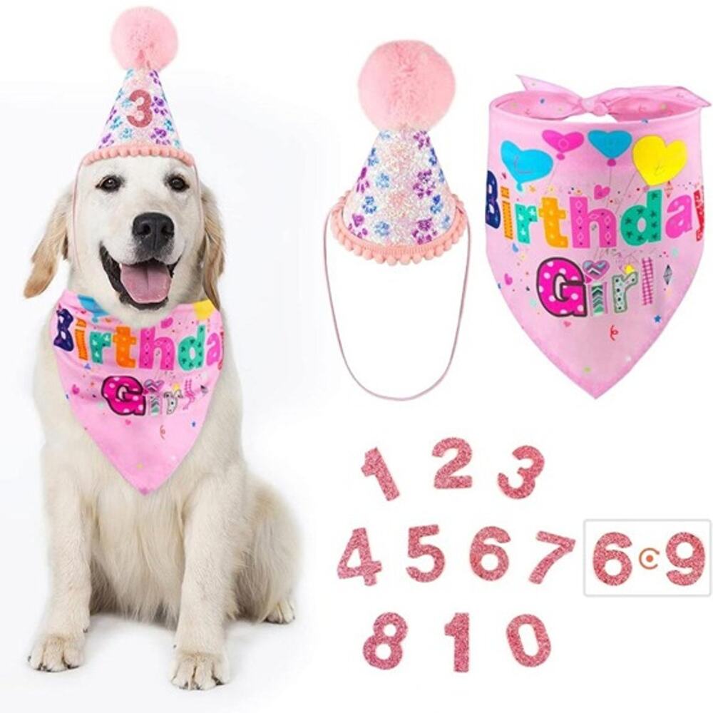 PurrNBark Dog Birthday Girl Set Pink Bandana Party Hat Glitter Numbers New